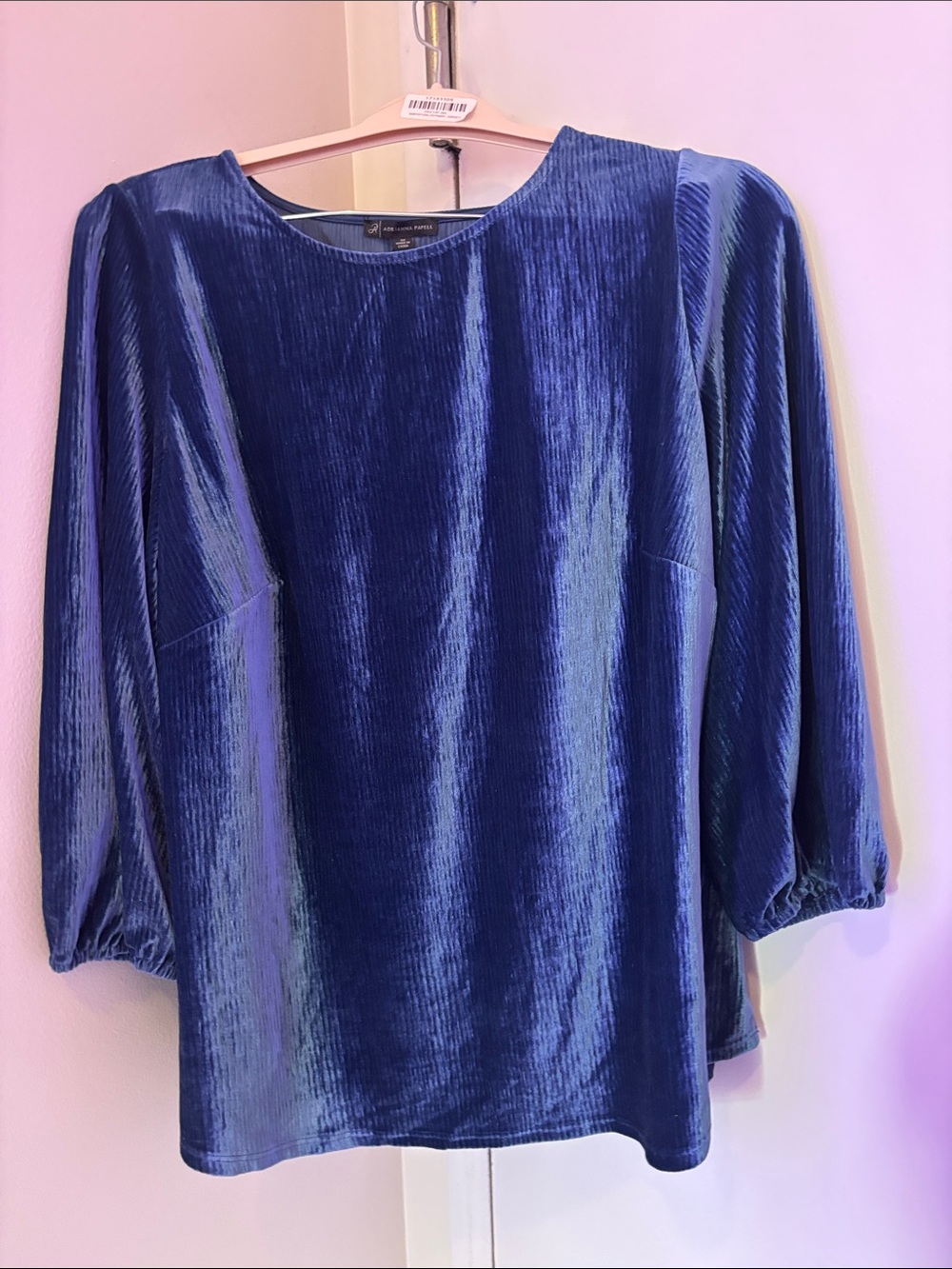 Adrianna Papell Royal Blue Velvet Long-Sleeve Top
